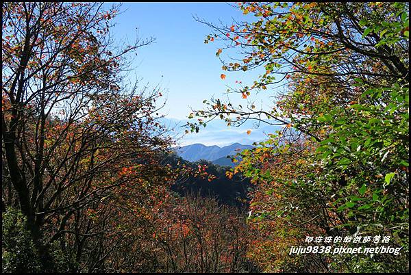 稍來58.JPG 稍來58.JPG