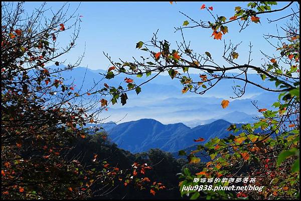 稍來59.JPG 稍來59.JPG