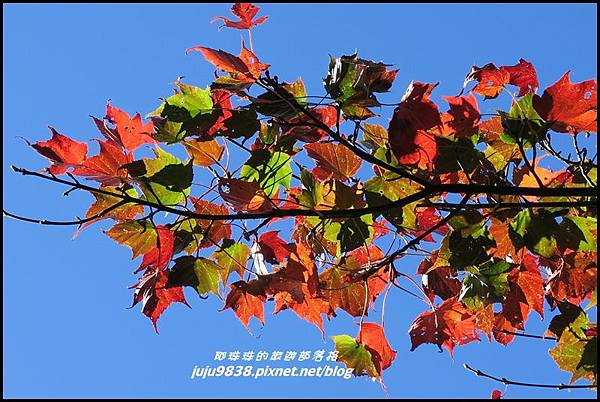 稍來61.JPG 稍來61.JPG