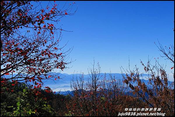 稍來60.JPG 稍來60.JPG