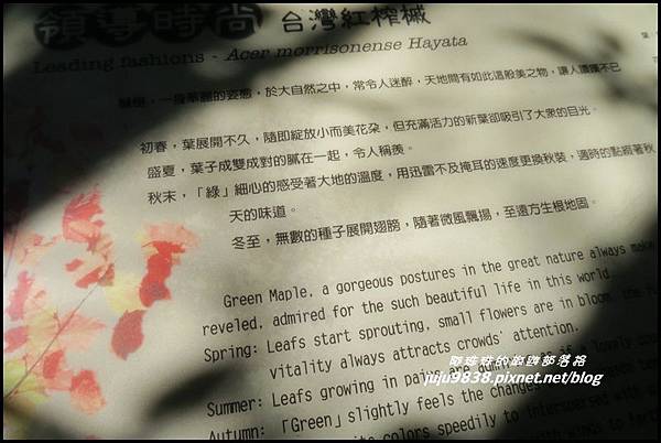 稍來62.JPG 稍來62.JPG