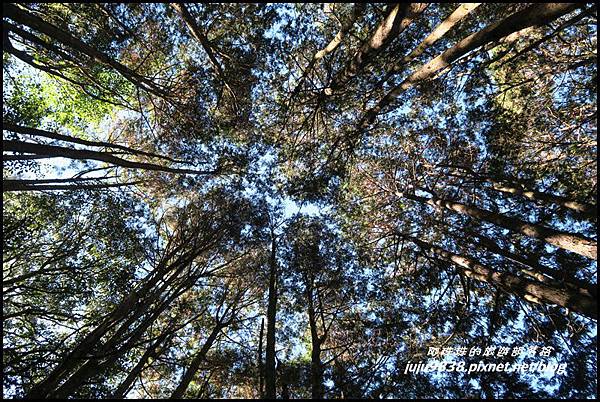 稍來70.JPG 稍來70.JPG