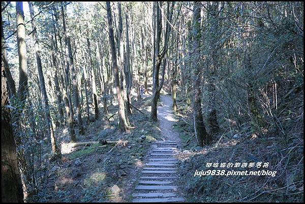 稍來71.JPG 稍來71.JPG