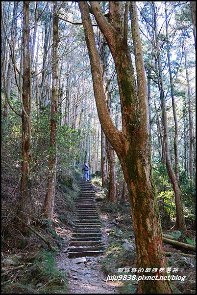 稍來72.JPG 稍來72.JPG