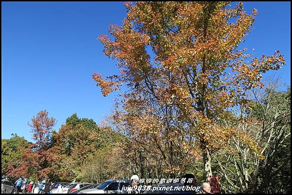 稍來74.JPG 稍來74.JPG