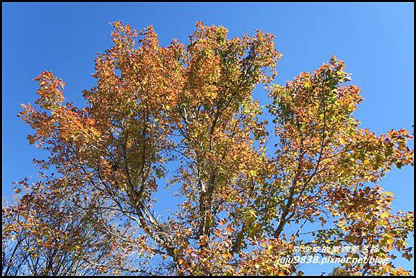 稍來75.JPG 稍來75.JPG