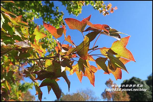 稍來77.JPG 稍來77.JPG