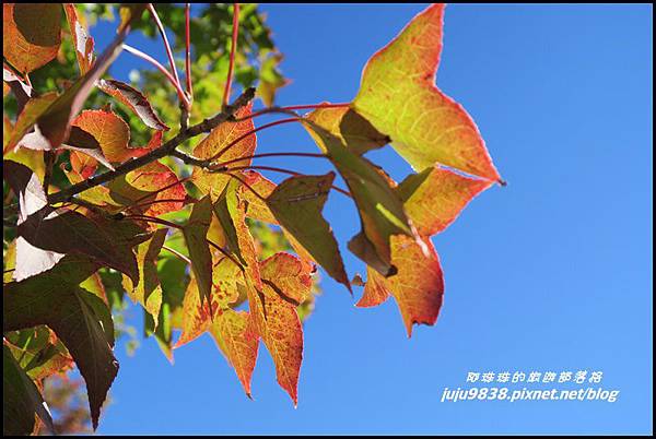 稍來79.JPG 稍來79.JPG