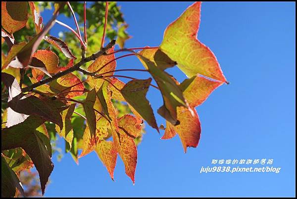 稍來78.JPG 稍來78.JPG