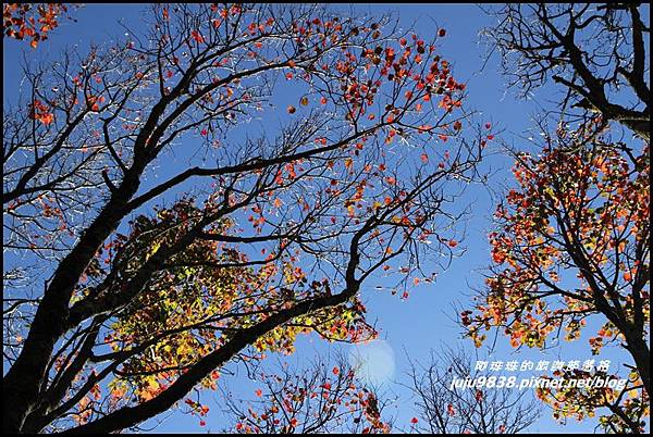 稍來91.JPG 稍來91.JPG