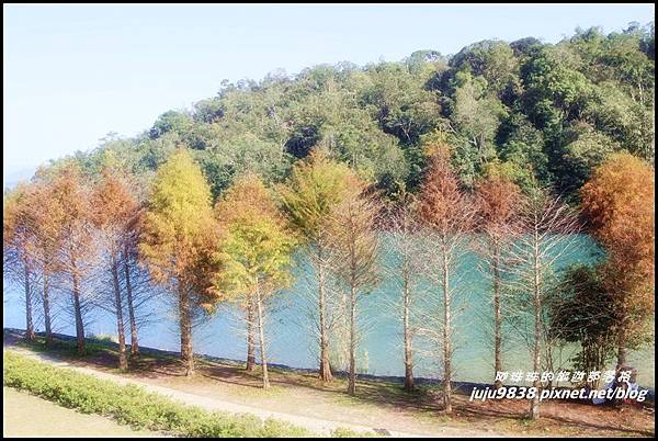 日月潭10.JPG 日月潭10.JPG