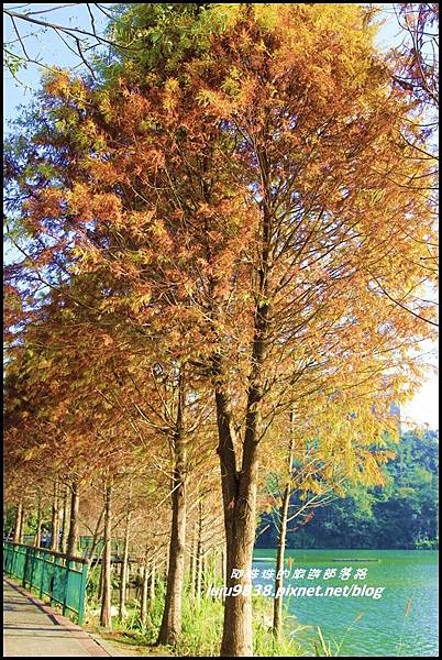 日月潭19.JPG 日月潭19.JPG