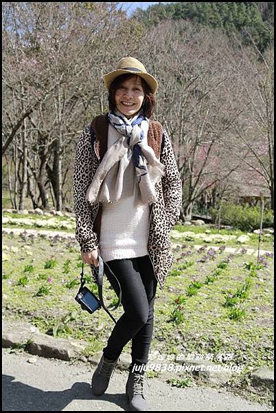 武陵農場1.JPG 武陵農場1.JPG