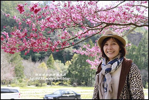 武陵農場3.JPG 武陵農場3.JPG