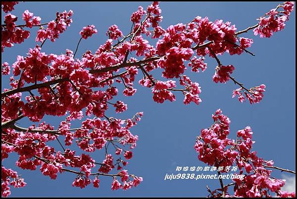 武陵農場5.JPG 武陵農場5.JPG