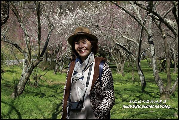 武陵農場6.JPG 武陵農場6.JPG