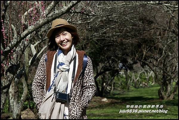 武陵農場7.JPG 武陵農場7.JPG