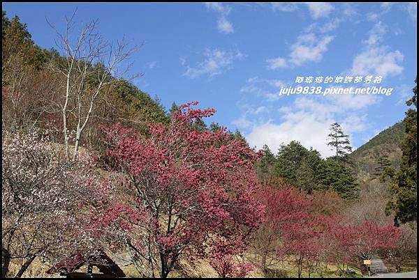 武陵農場8.JPG 武陵農場8.JPG