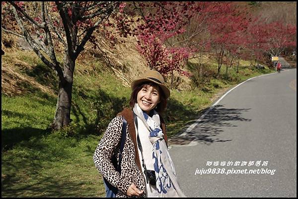 武陵農場9.JPG 武陵農場9.JPG