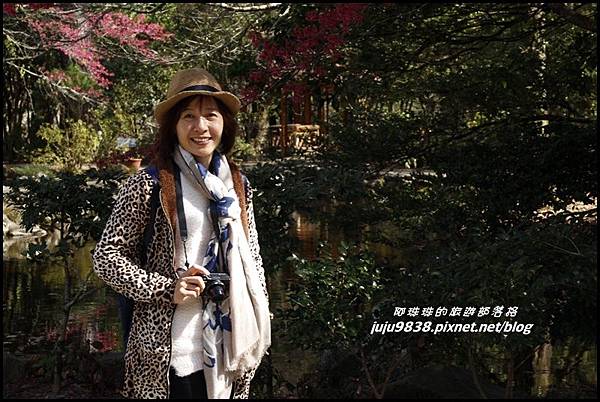 武陵農場10.JPG 武陵農場10.JPG