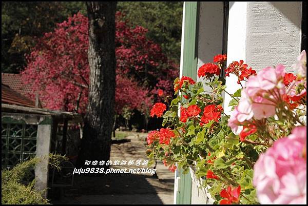 武陵農場11.JPG 武陵農場11.JPG