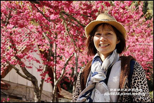 武陵農場13.JPG 武陵農場13.JPG