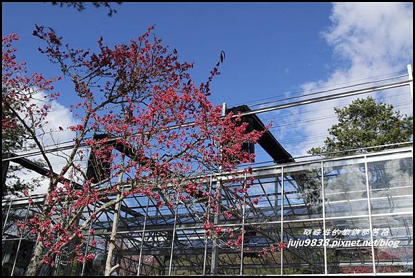 武陵農場14.JPG 武陵農場14.JPG