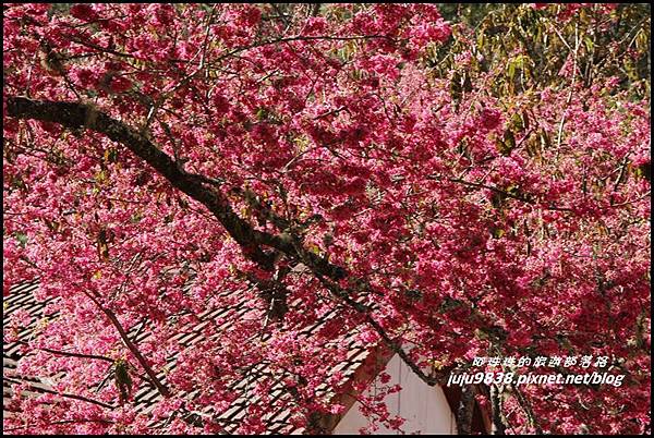 武陵農場16.JPG 武陵農場16.JPG