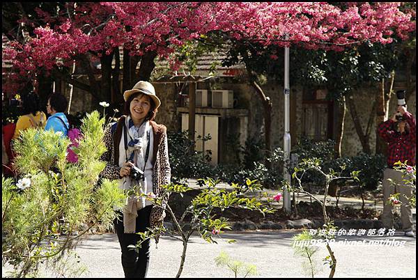 武陵農場19.JPG 武陵農場19.JPG