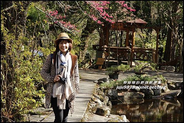 武陵農場20.JPG 武陵農場20.JPG