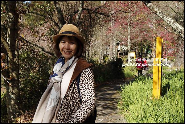 武陵農場22.JPG 武陵農場22.JPG