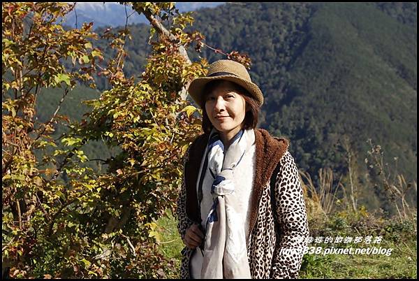 武陵農場25.JPG 武陵農場25.JPG