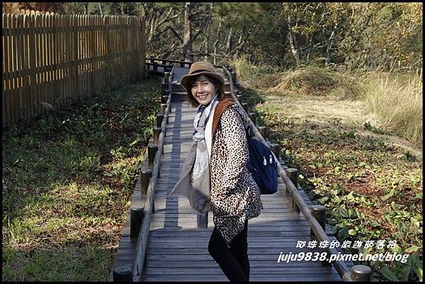 武陵農場28.JPG 武陵農場28.JPG