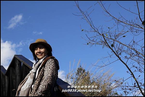 武陵農場26.JPG 武陵農場26.JPG