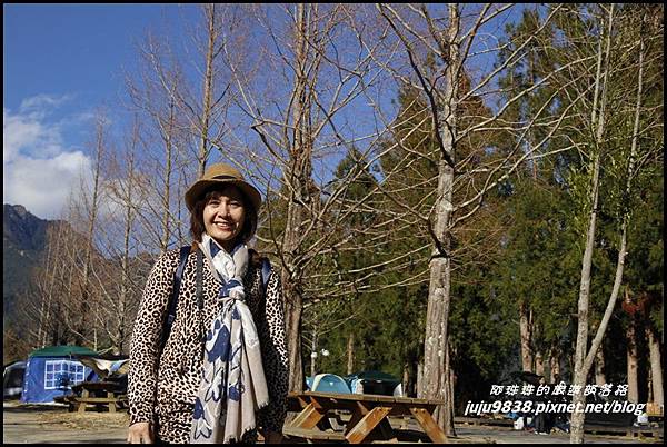 武陵農場35.JPG 武陵農場35.JPG