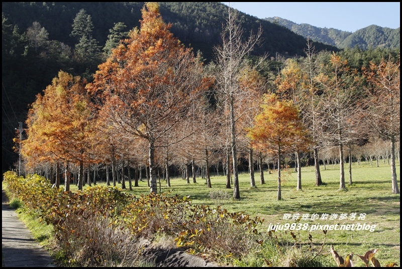 武陵農場36.JPG 武陵農場36.JPG