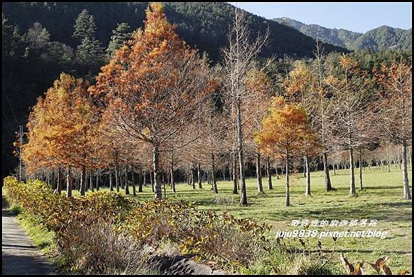 武陵農場36.JPG 武陵農場36.JPG
