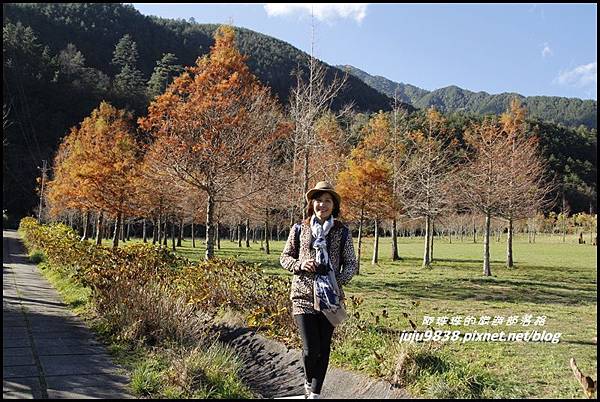 武陵農場37.JPG 武陵農場37.JPG