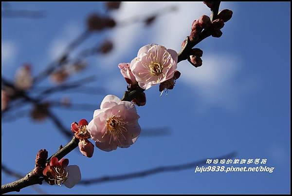 武陵農場47.JPG 武陵農場47.JPG