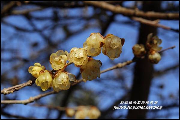 武陵農場51.JPG 武陵農場51.JPG