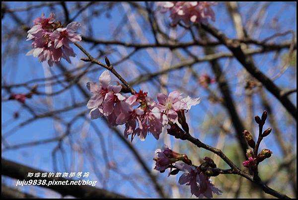 武陵農場53.JPG 武陵農場53.JPG