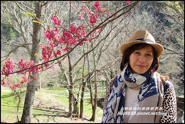 武陵農場57.JPG 武陵農場57.JPG