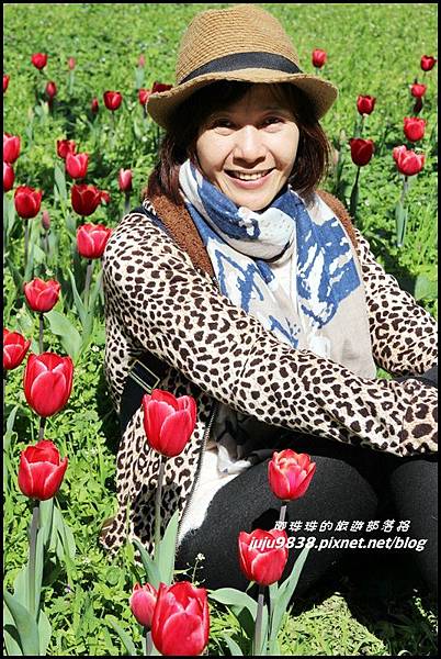 武陵農場60.JPG 武陵農場60.JPG