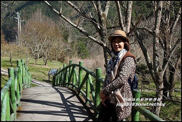 武陵農場61.JPG 武陵農場61.JPG