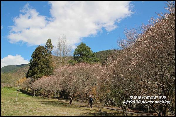 武陵農場64.JPG 武陵農場64.JPG