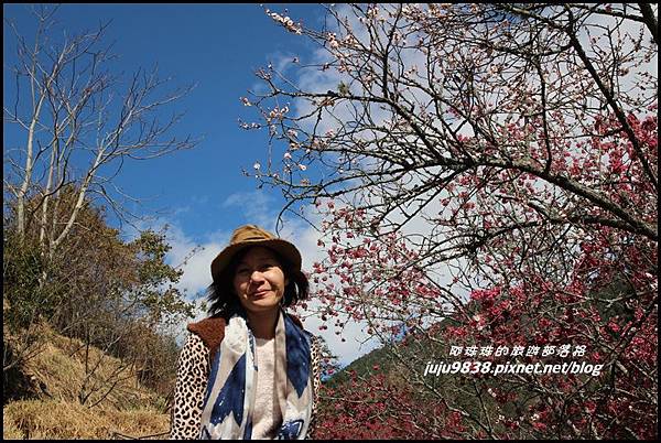 武陵農場69.JPG 武陵農場69.JPG