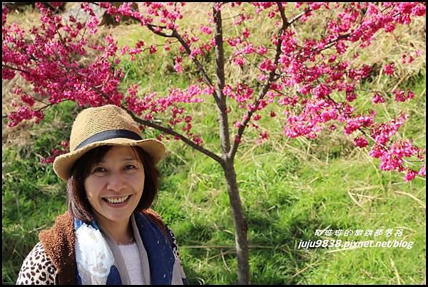 武陵農場71.JPG 武陵農場71.JPG