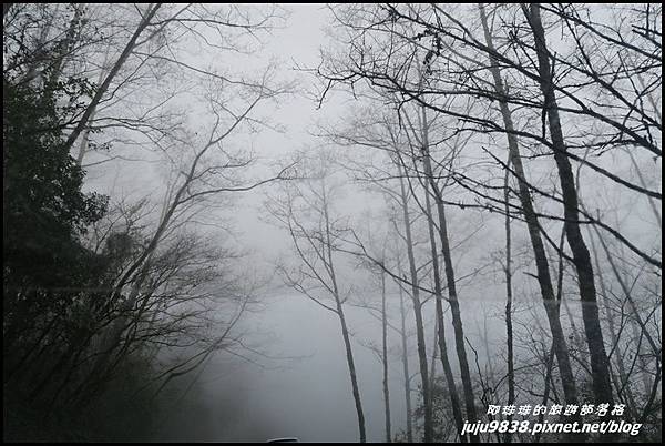 武陵農場78.JPG 武陵農場78.JPG