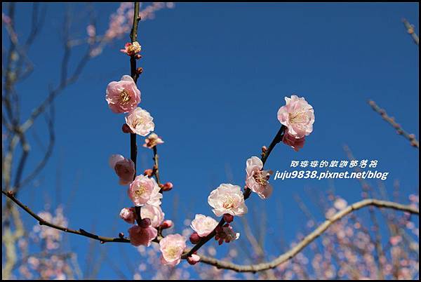 武陵農場76.JPG 武陵農場76.JPG