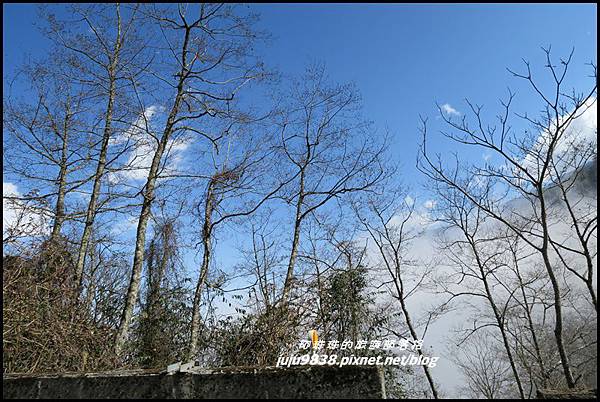 武陵農場79.JPG 武陵農場79.JPG